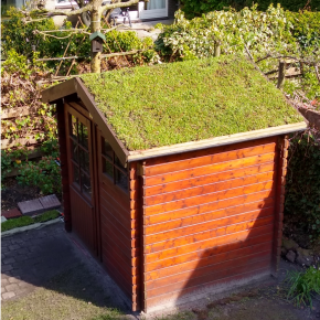 Environmental trade-offs: Up-cycling a wooden shed